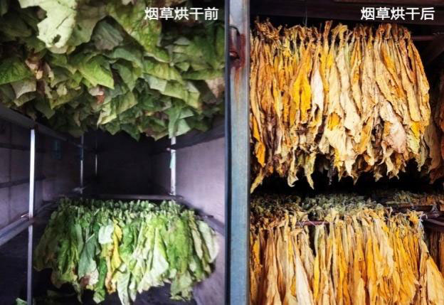卡林空气源热泵烘干机效果 卡林空气源热泵烘干机效果